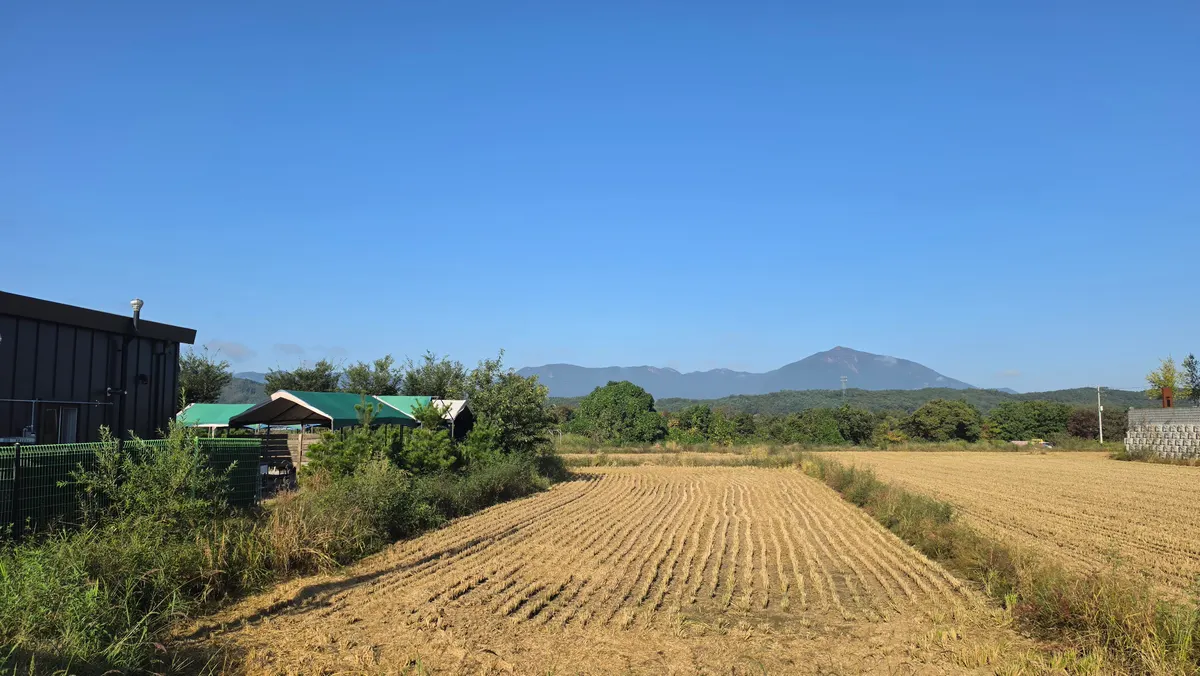 주차장 옆 추수를 마친 논과 먼 산
