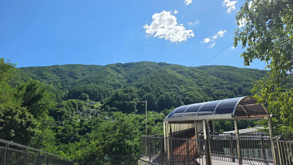 고한의 산자락